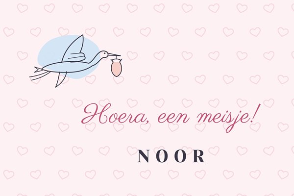 Vlagontwerp Geboorte meisje fijn