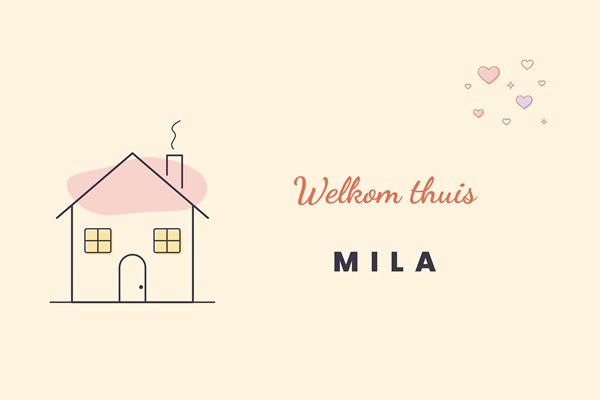 Vlagontwerp Welkom thuis fijn