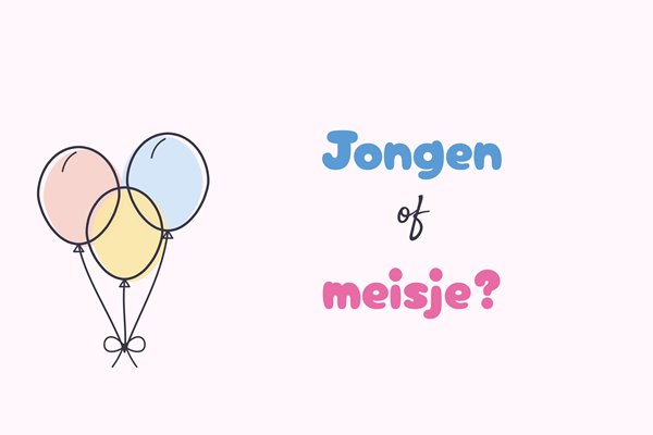 Vlagontwerp Jongen of meisje fijn