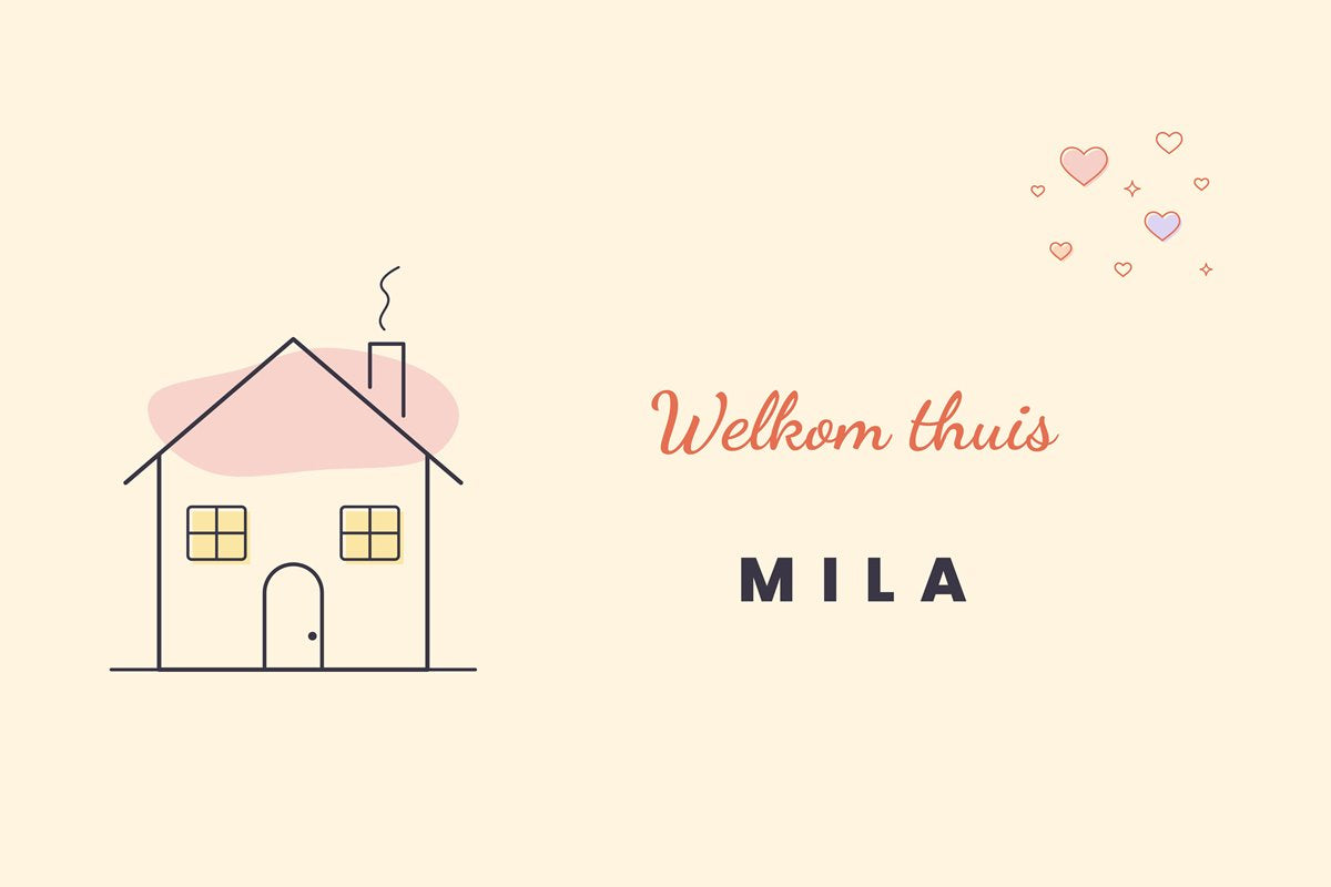welkom-thuisvlag